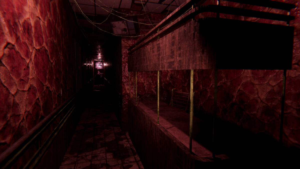 Скриншот 8 к игре Sorrow Asylum 2