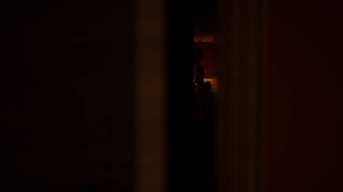 Скриншот 5 к игре Unexpected Visitors