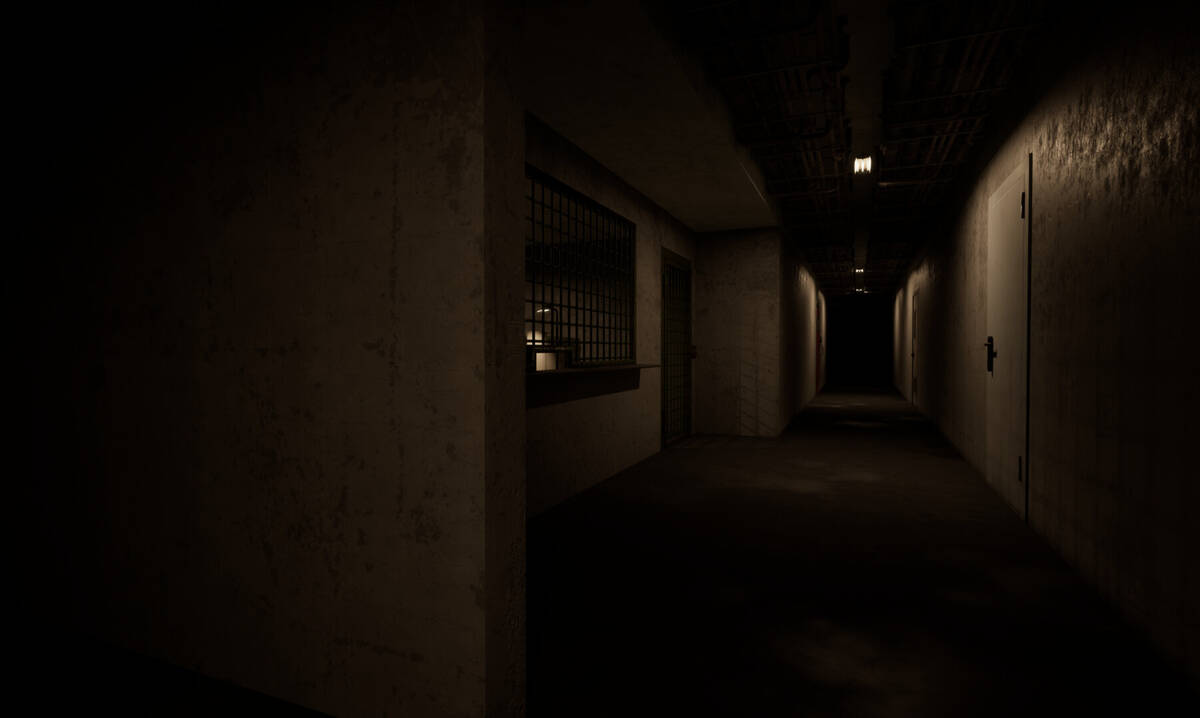 Скриншот 6 к игре SCP-479: Тени Разума