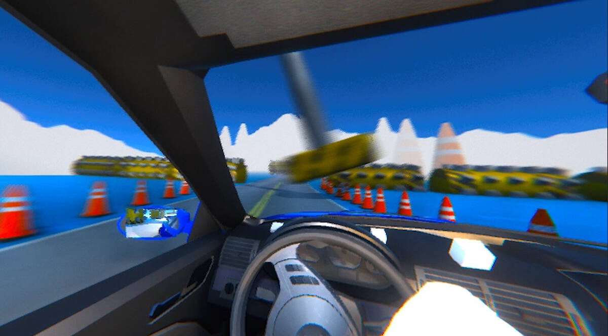 Скриншот 5 к игре DMVR