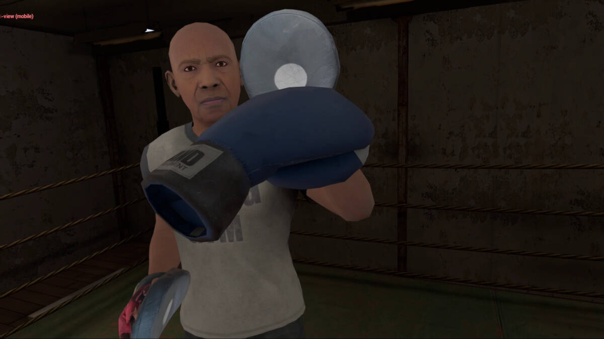 Скриншот 5 к игре True Boxing VR