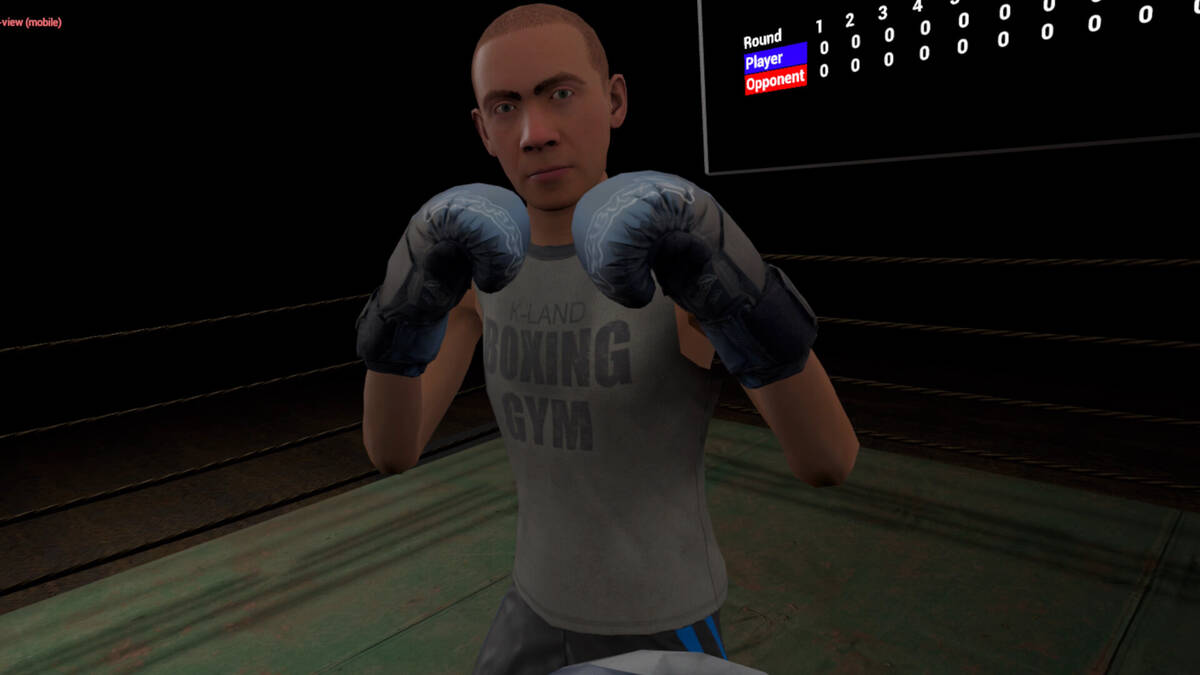 Скриншот 8 к игре True Boxing VR