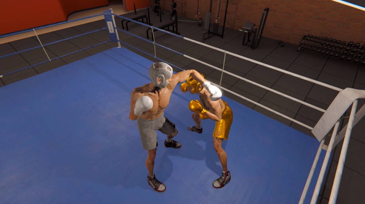 Скриншот 6 к игре Gloves On!