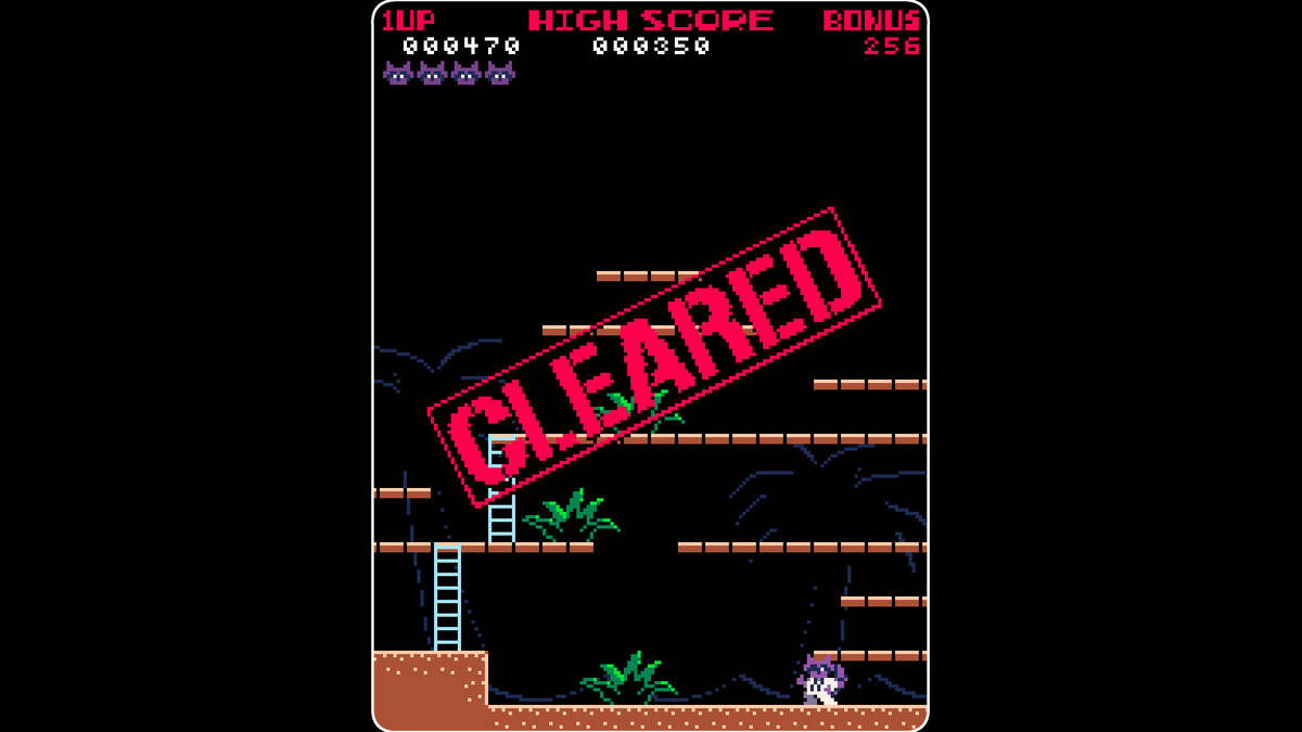 Скриншот 5 к игре Super Spy Raccoon