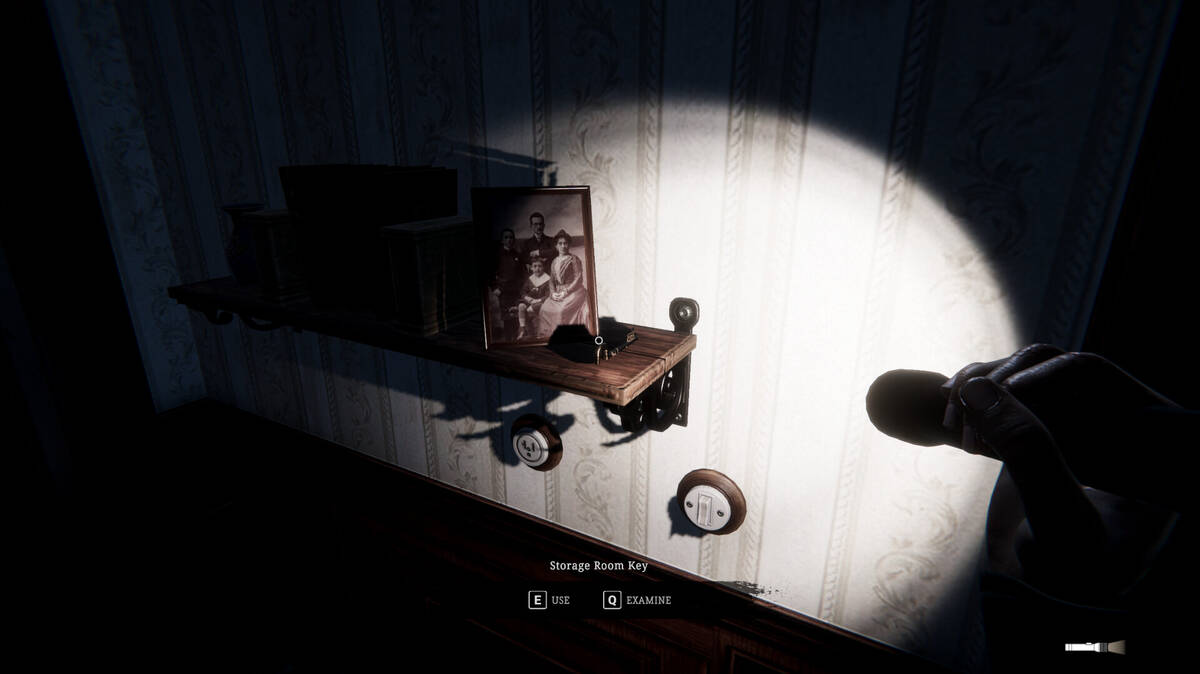 Скриншот 5 к игре Echos in the Dark