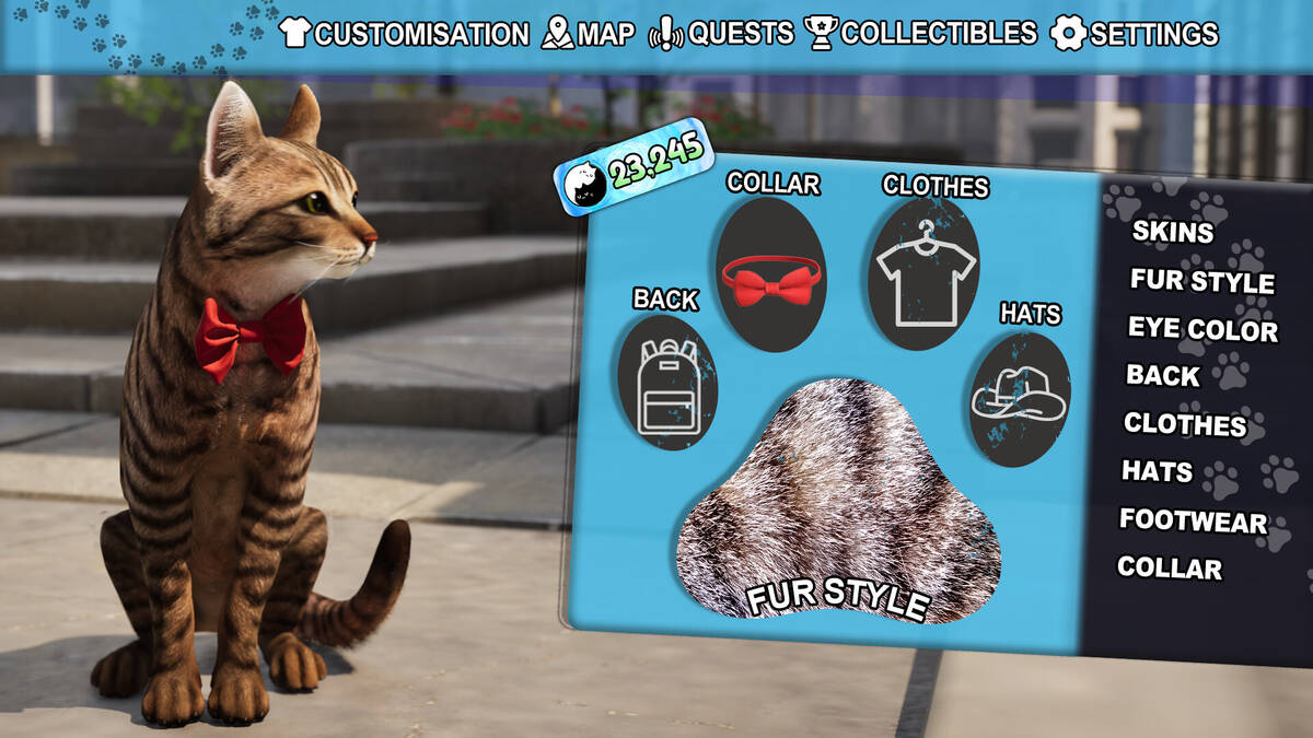 Скриншот 5 к игре Cat Life Simulator