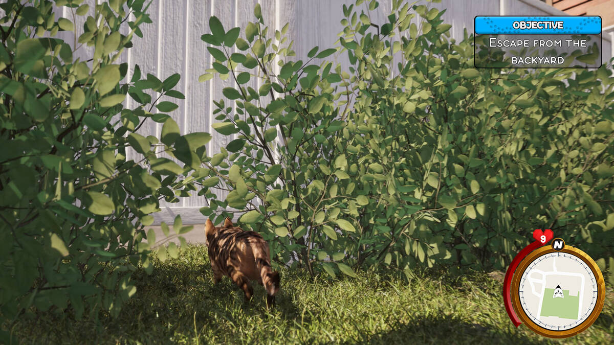 Скриншот 7 к игре Cat Life Simulator