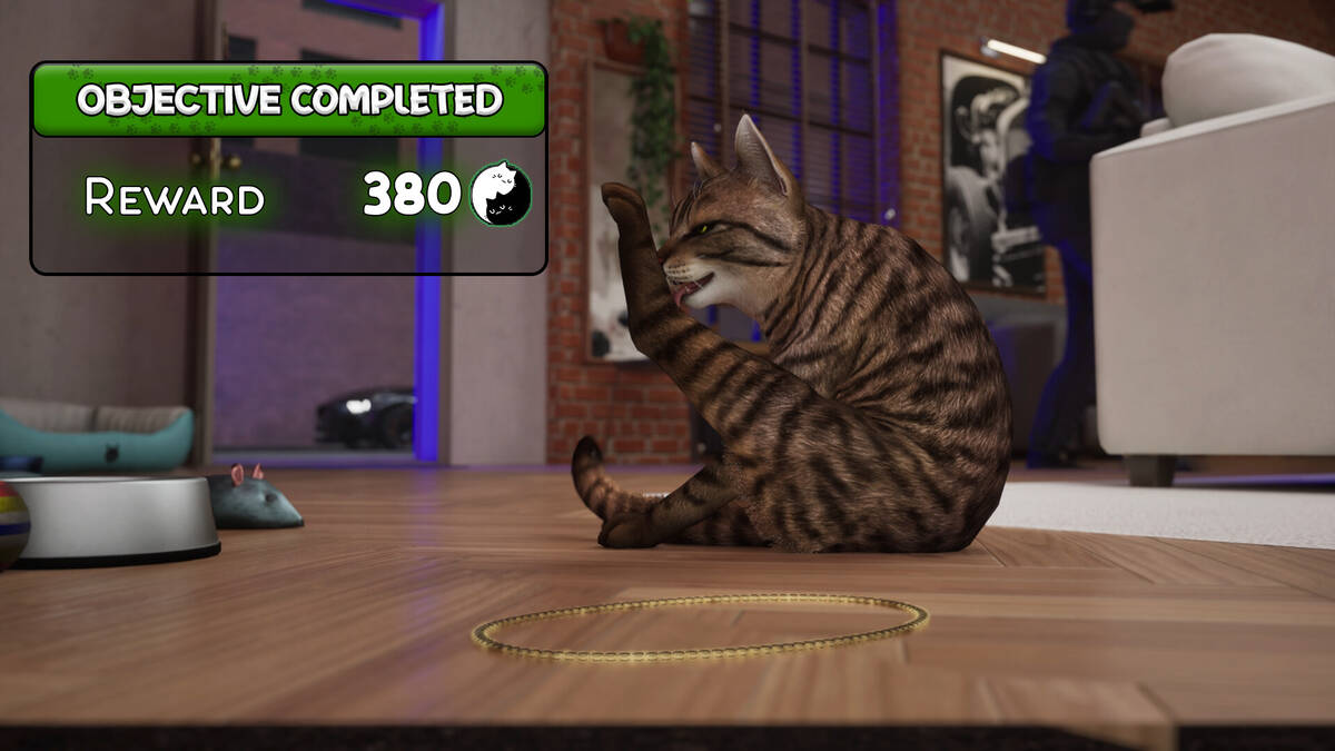 Скриншот 8 к игре Cat Life Simulator