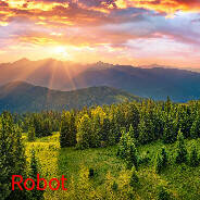 Скриншот 6 к игре Robot