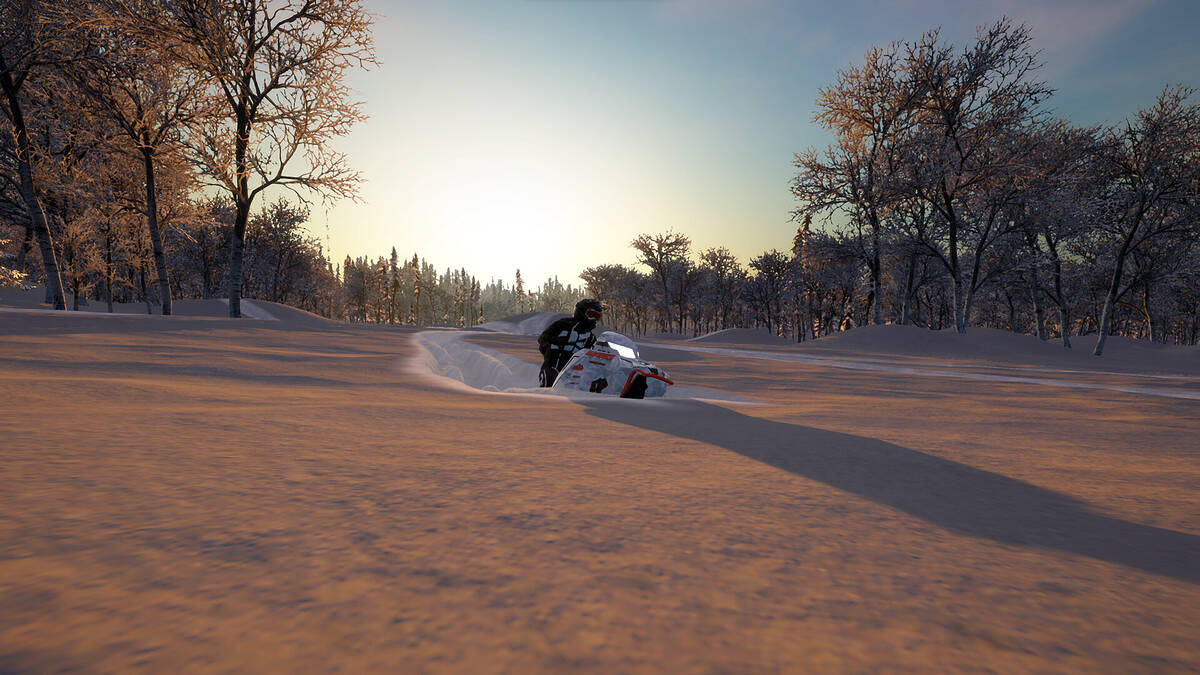 Скриншот 15 к игре Sledders
