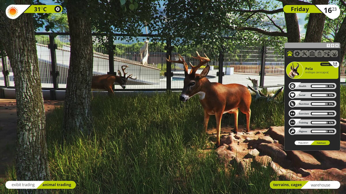 Скриншот 6 к игре Zoo Simulator: Prologue