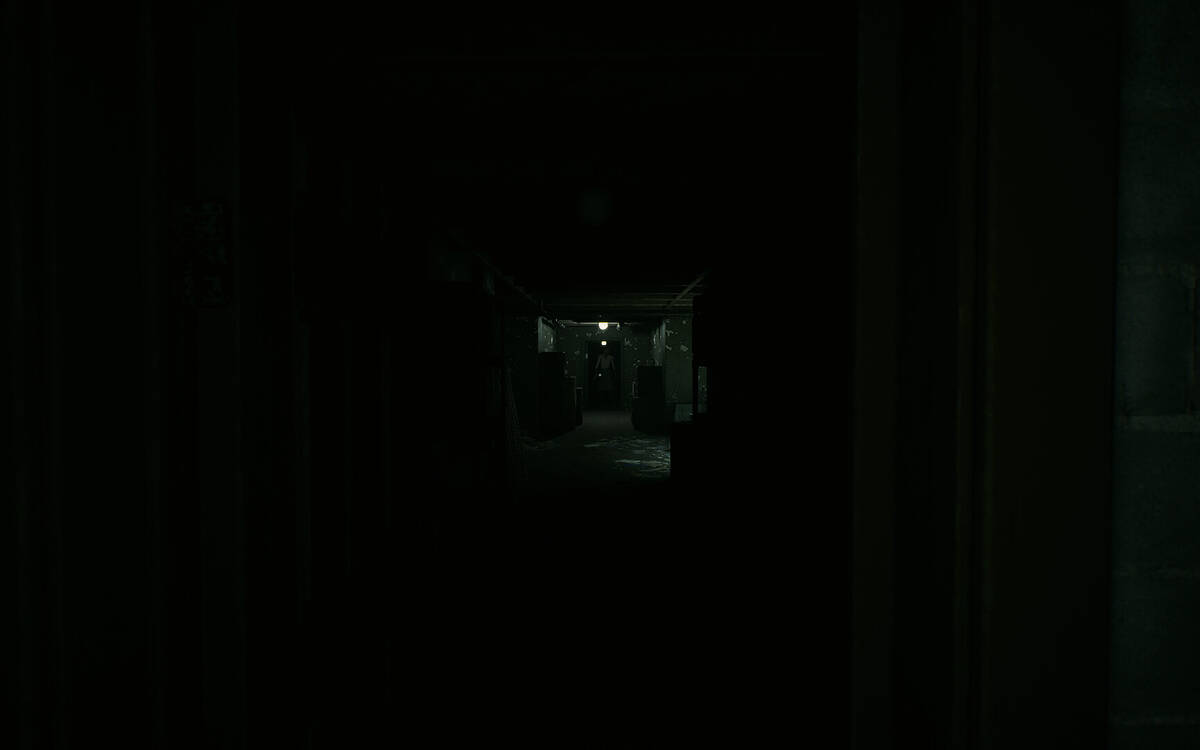 Скриншот 6 к игре Shadows Of Deceit