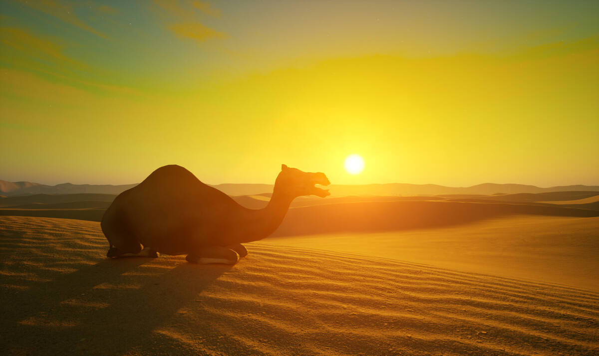Скриншот 8 к игре Scorching Desert
