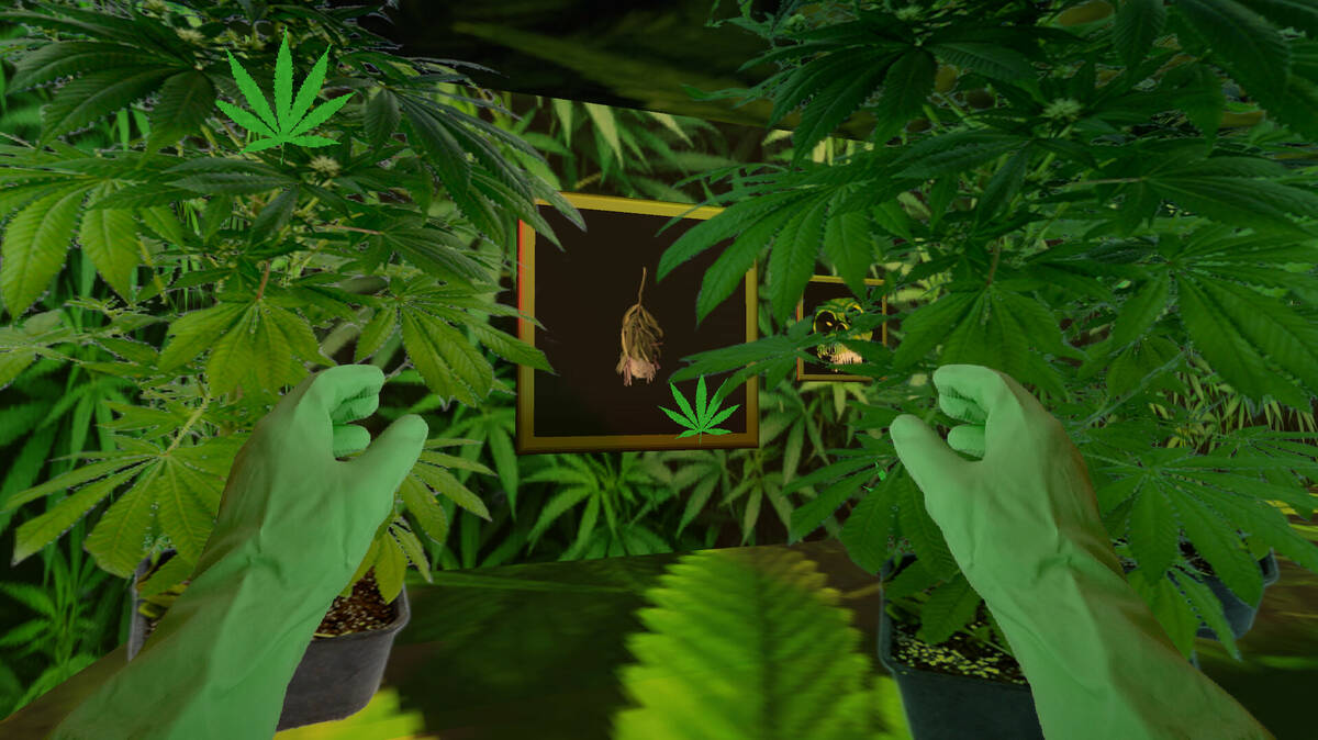 Скриншот 5 к игре THE SOUL OF TOO BIRDS GAME