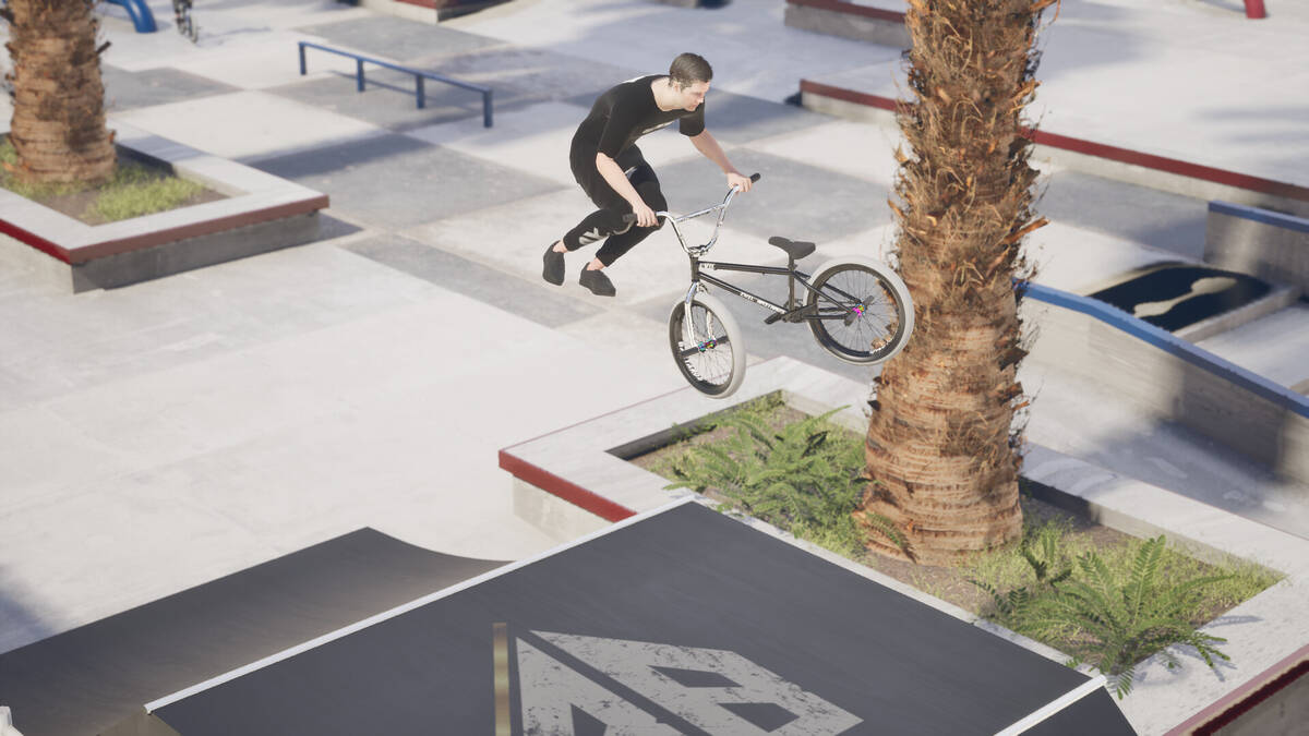 Скриншот 6 к игре BMX Bastards