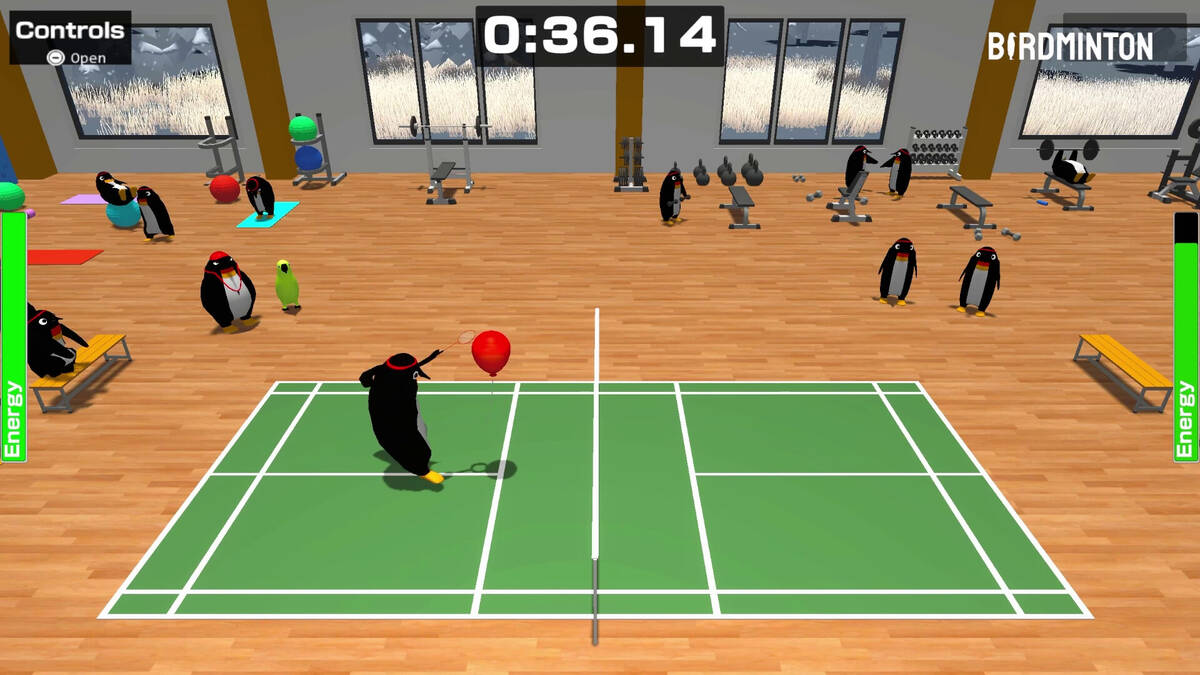 Скриншот 6 к игре Birdminton