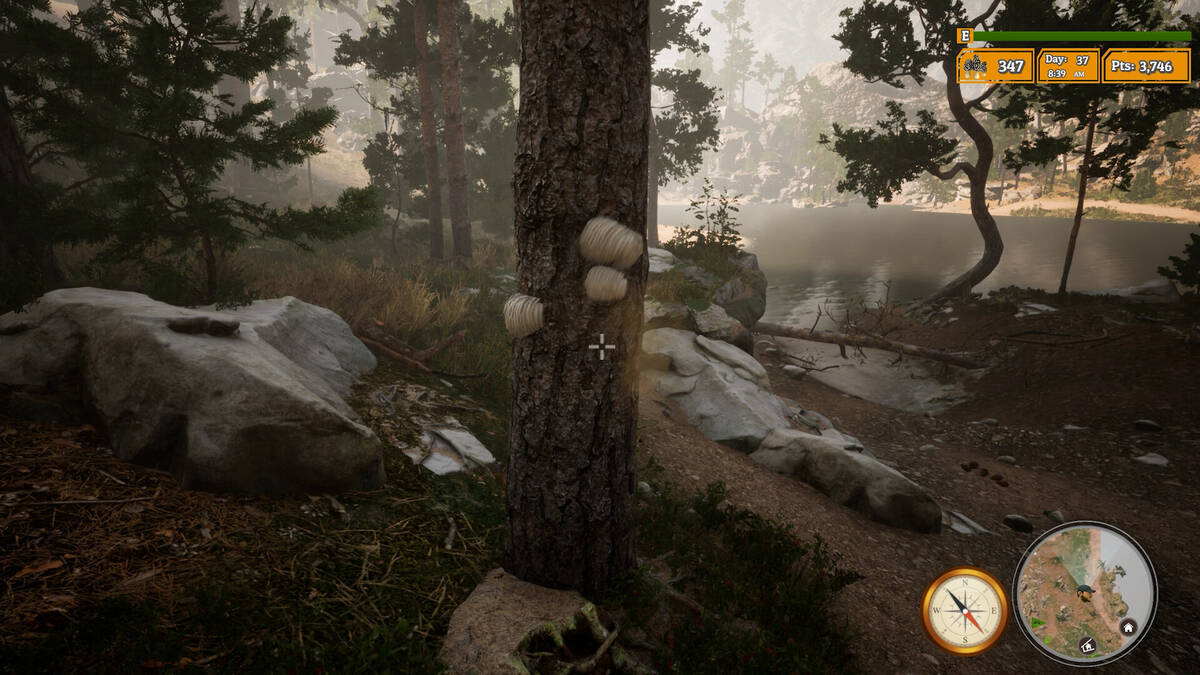 Скриншот 7 к игре Morels: The Hunt 2