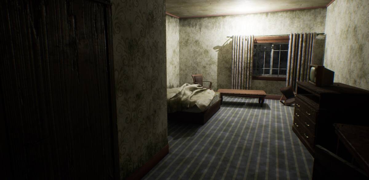 Скриншот 7 к игре Hotel in the Dark