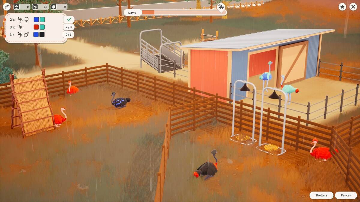 Скриншот 6 к игре Ostrich Farm