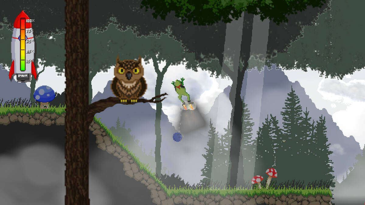 Скриншот 5 к игре Rocket Frog