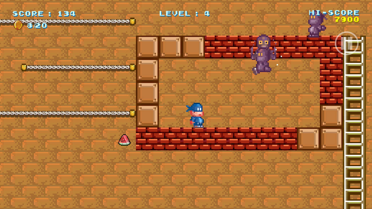 Скриншот 8 к игре Dangerous Coins