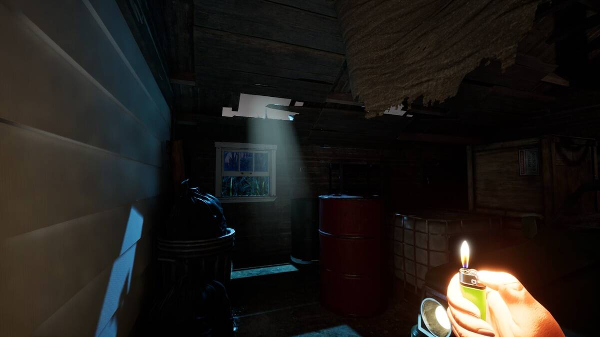 Скриншот 6 к игре Within the Unknown