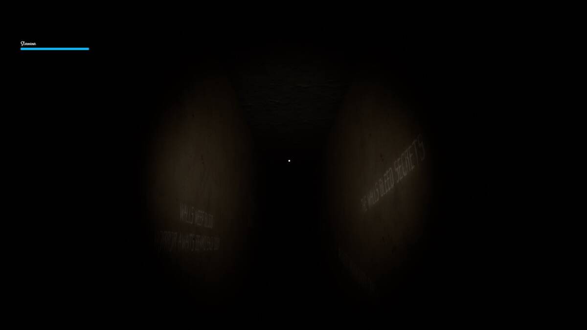 Скриншот 6 к игре Veranoia: Nightmare of Case 37