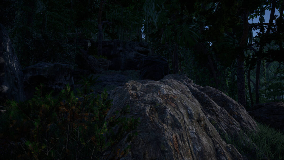 Скриншот 7 к игре Ninja: The Lost Legacy