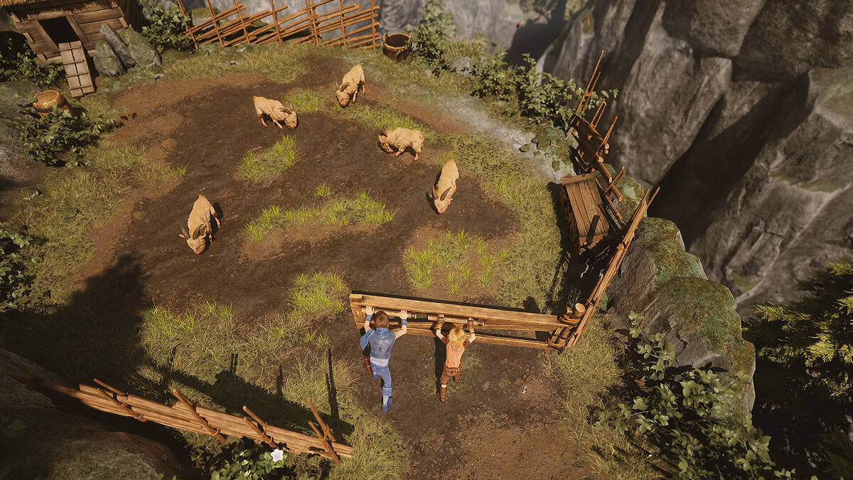 Скриншот 7 к игре Brothers: A Tale of Two Sons Remake