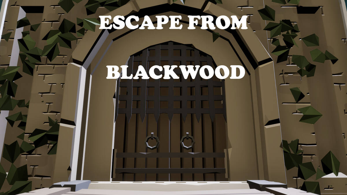 Скриншот 6 к игре Escape from Blackwood