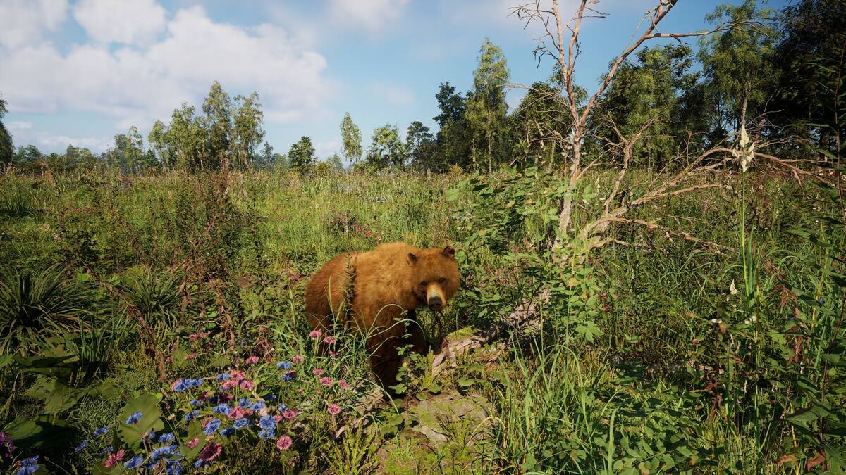 Скриншот 5 к игре Симулятор Русской Души