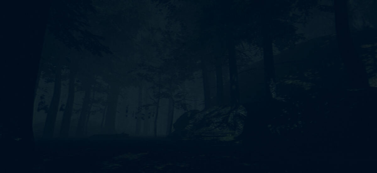 Скриншот 5 к игре The Children of The Woods - Lost Tape