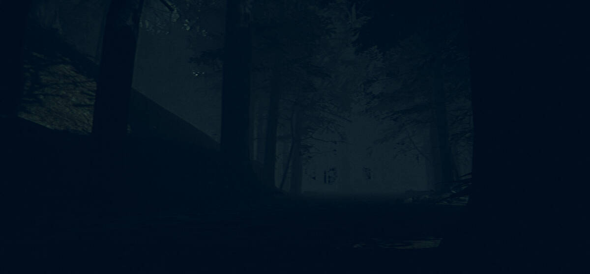 Скриншот 6 к игре The Children of The Woods - Lost Tape