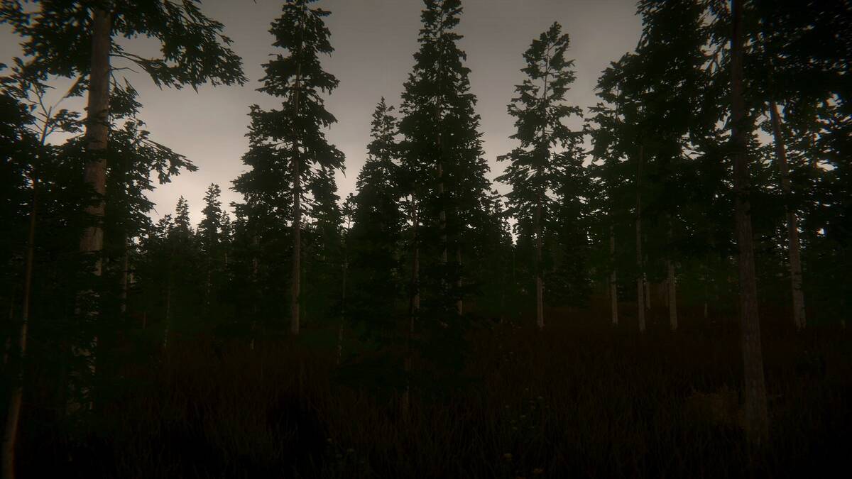 Скриншот 5 к игре Pastor's Lake: The Game