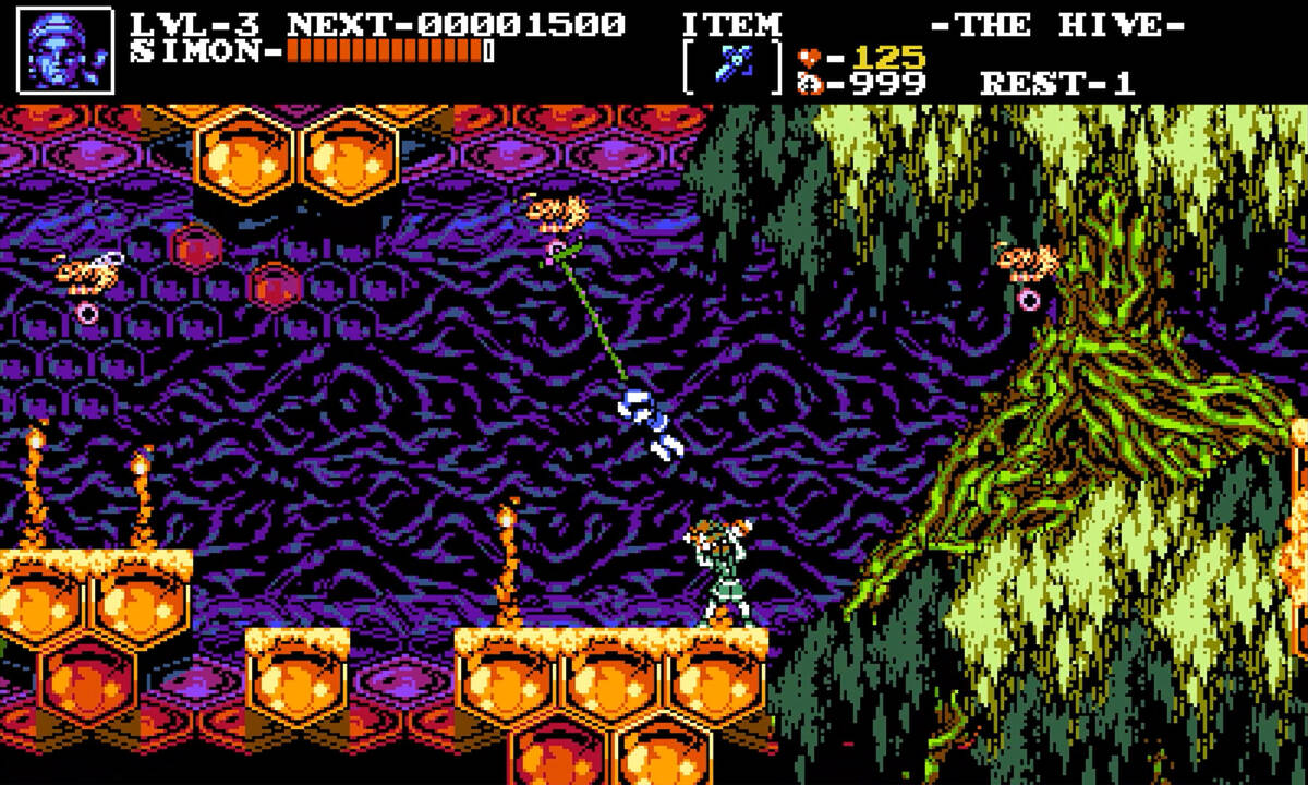 Скриншот 5 к игре The Transylvania Adventure of Simon Quest