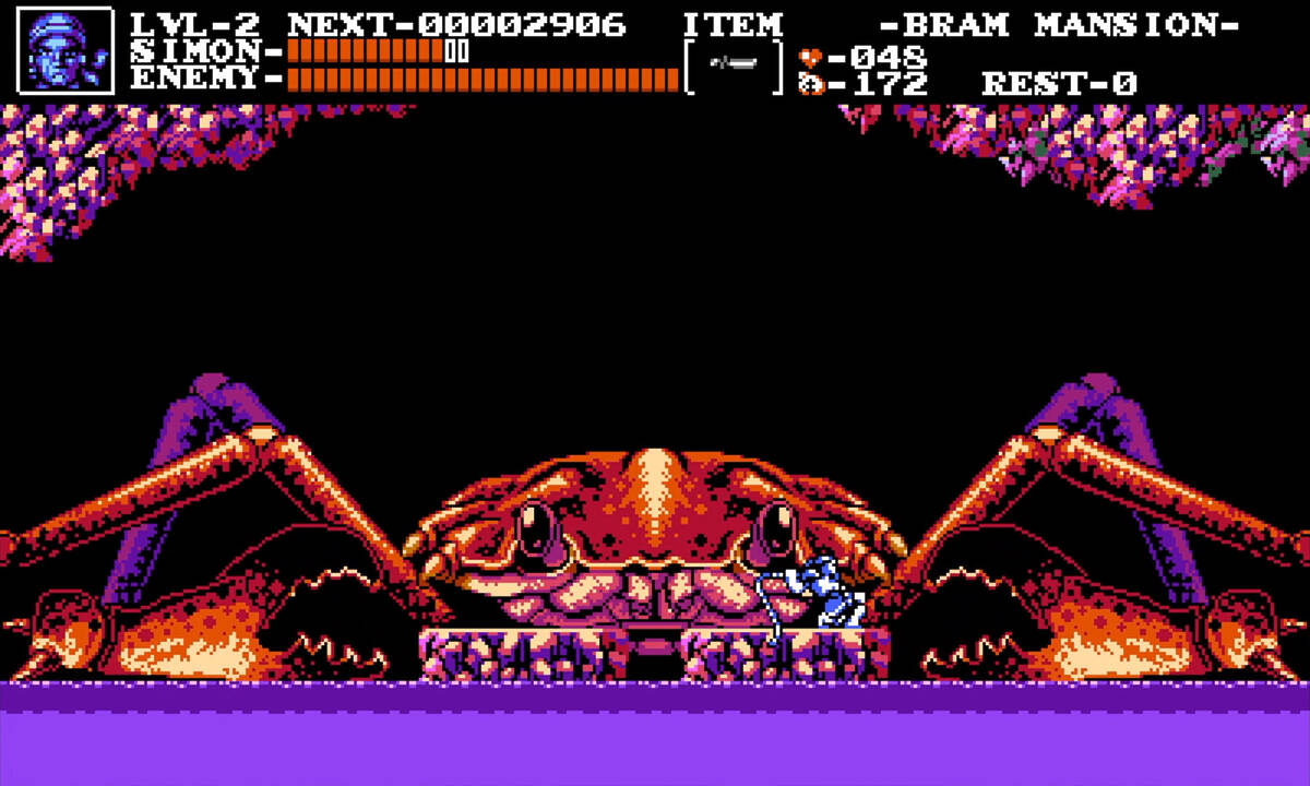 Скриншот 6 к игре The Transylvania Adventure of Simon Quest