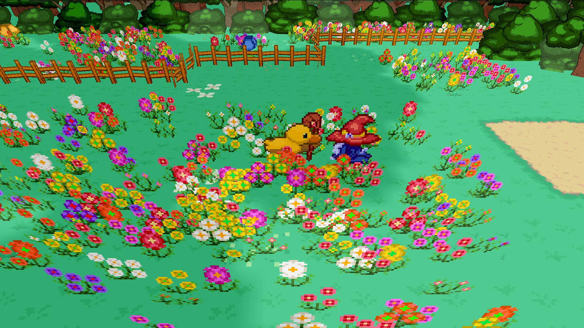 Скриншот 5 к игре Wizarducks and the Lost Hat