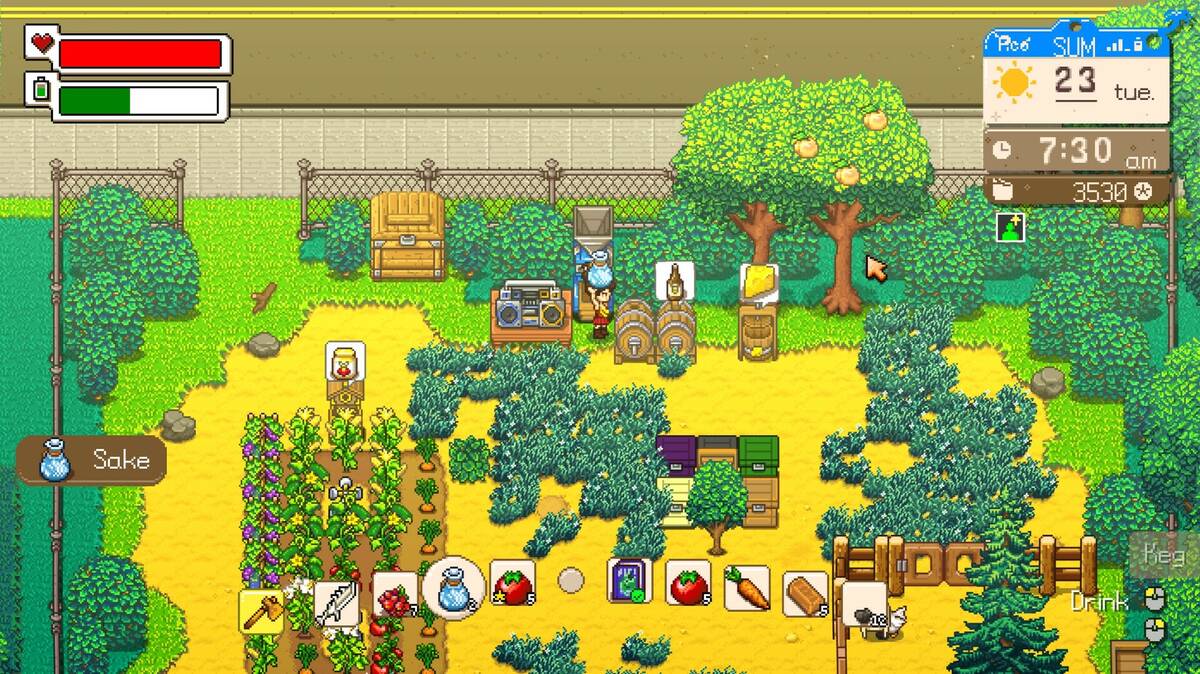Скриншот 5 к игре Sunkissed City