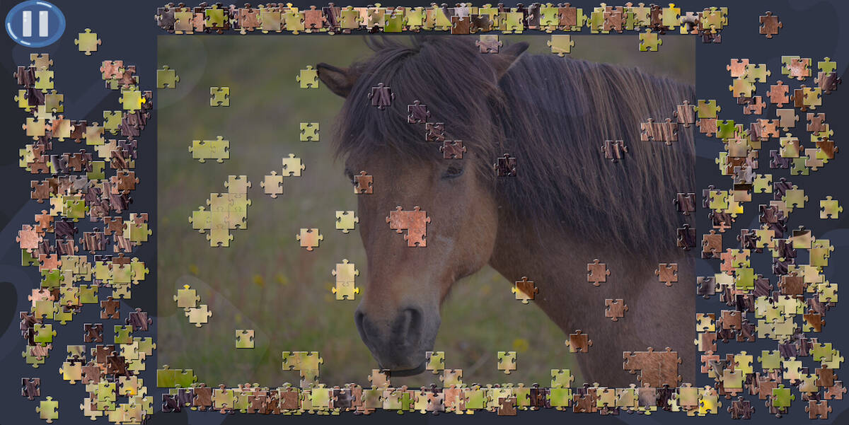 Скриншот 5 к игре Virtual Jigsaw Puzzles - Animals