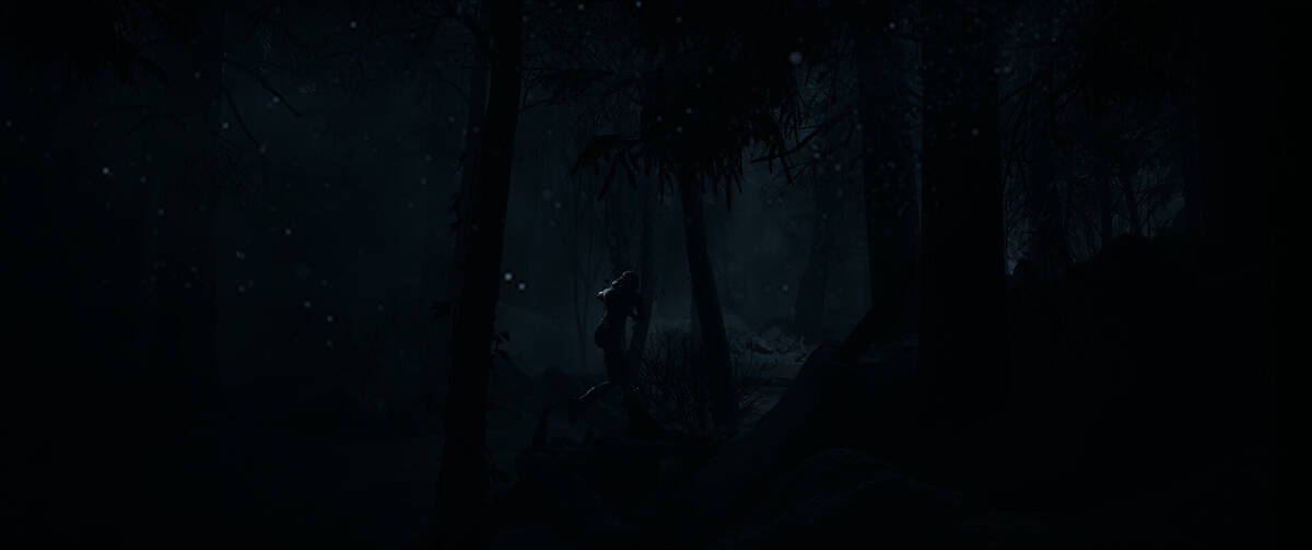 Скриншот 7 к игре Дожить до рассвета