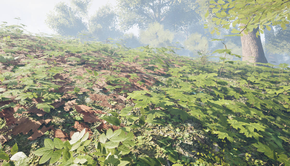 Скриншот 5 к игре Herbal Hunter