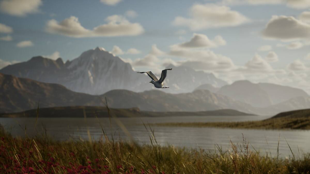 Скриншот 5 к игре Photography Simulator Wildlife Prologue