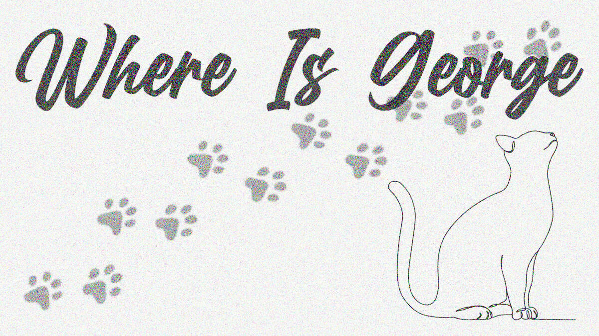 Скриншот 7 к игре Where Is George