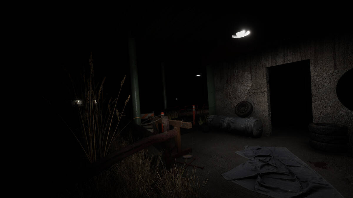 Скриншот 6 к игре Deep Sleep: The Beggining