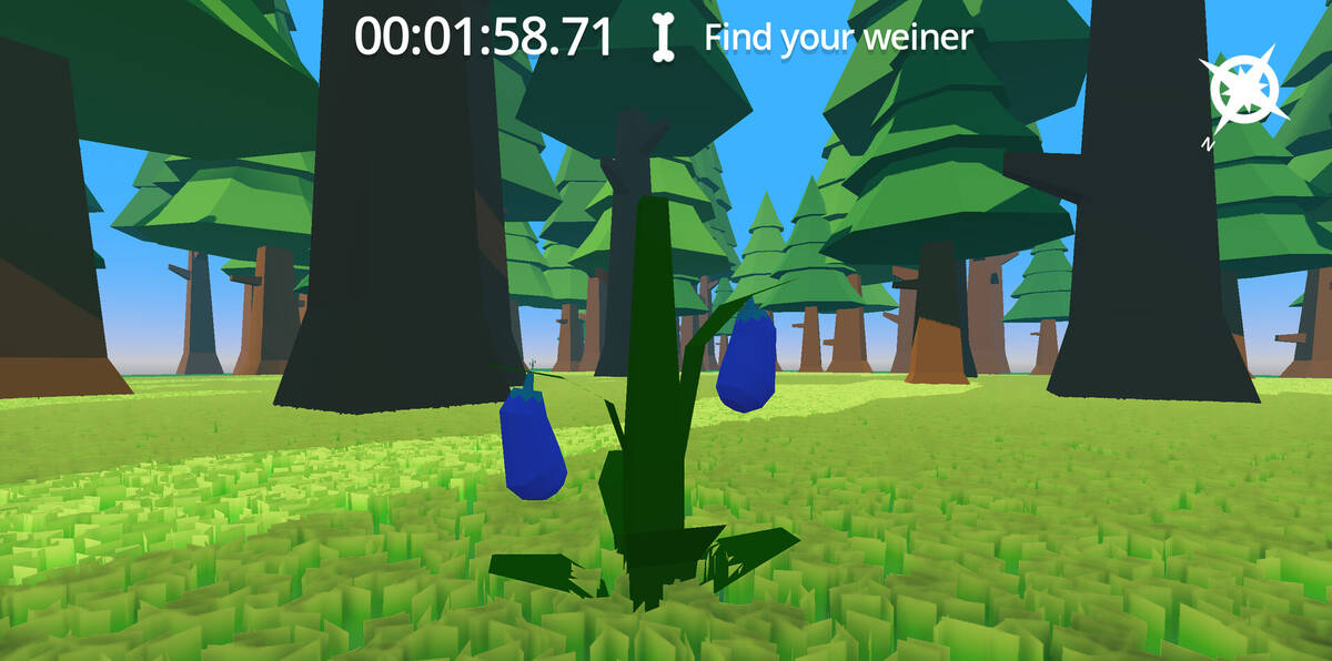 Скриншот 5 к игре Find My Wiener
