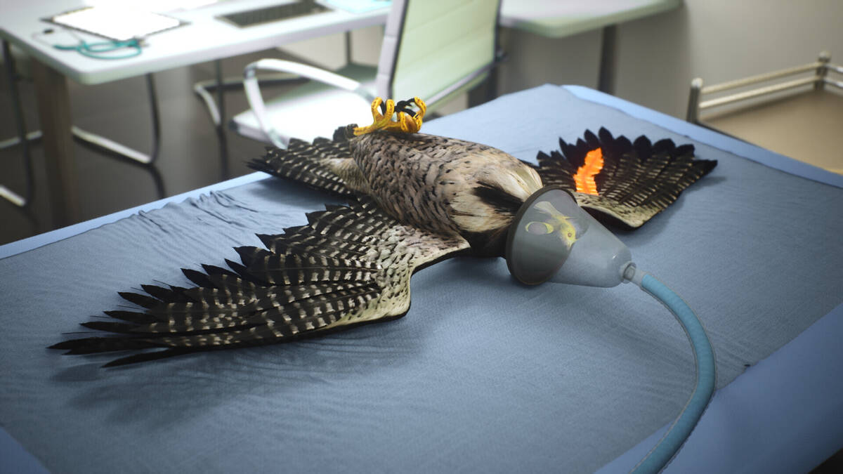 Скриншот 7 к игре Enter Falconry