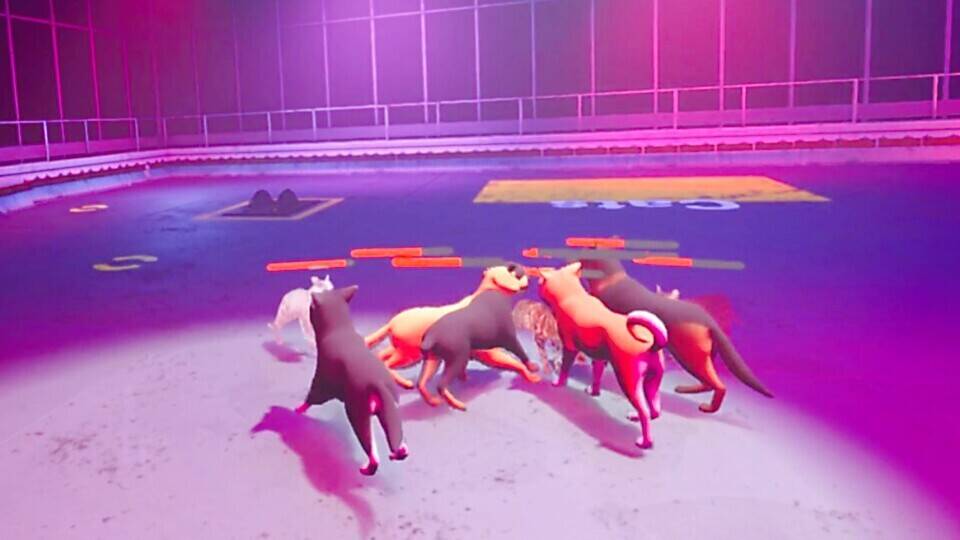 Скриншот 6 к игре Claw Clash: Cat vs Dog Betting