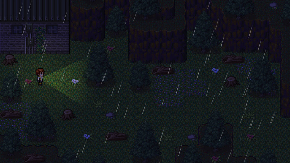 Скриншот 5 к игре The Clown's Forest: Whispers of Insanity