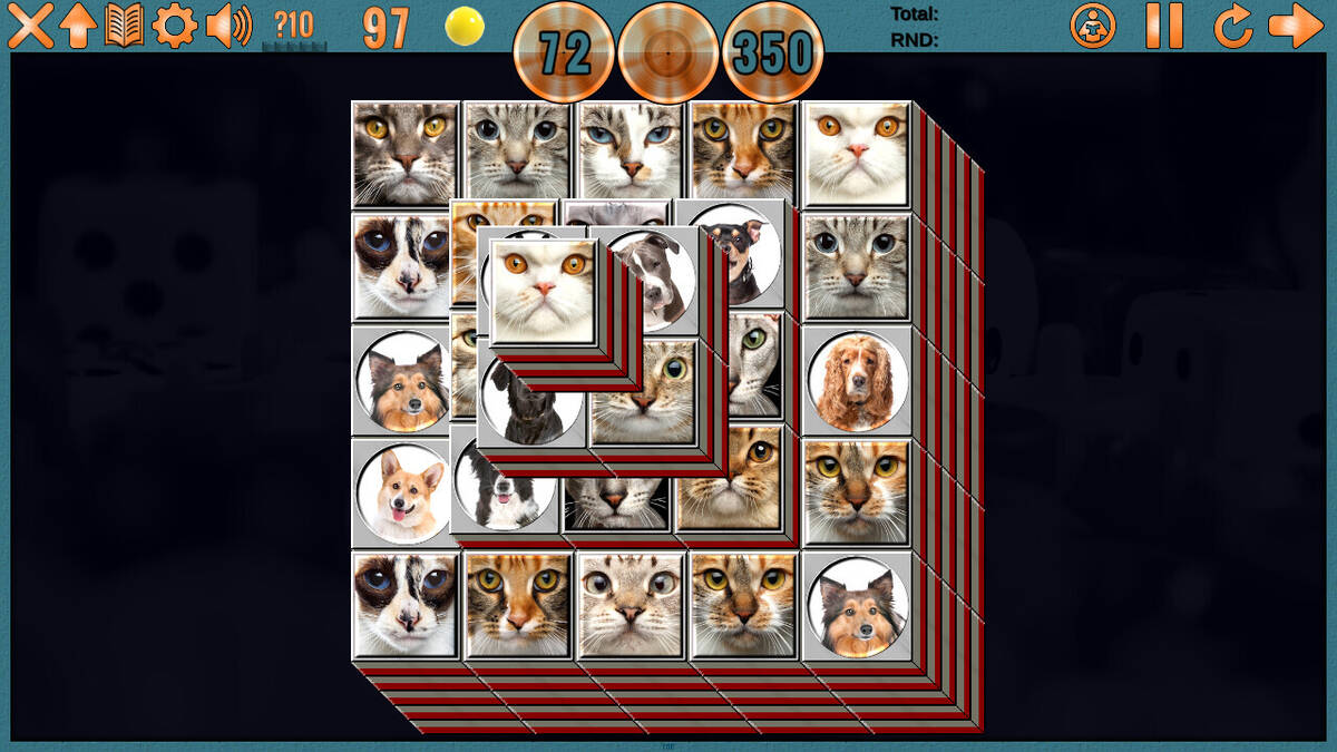 Скриншот 8 к игре Clutter Puzzle Magazine Vol. 16 No. 2 Collector's Edition