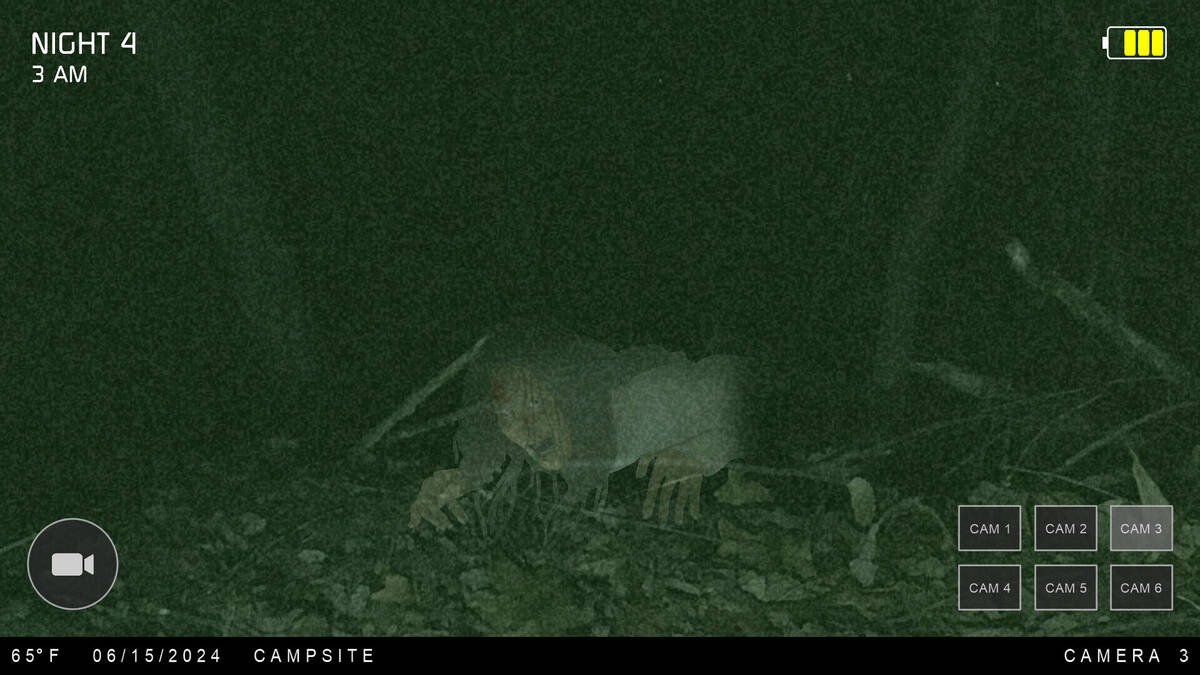 Скриншот 5 к игре Night at the Cabin